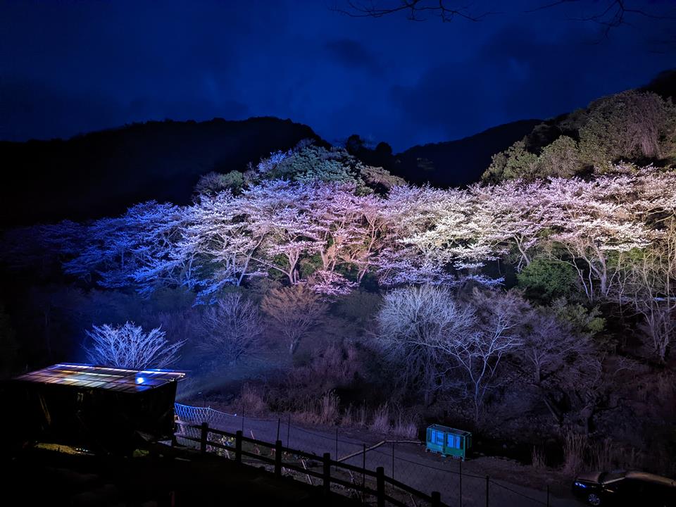 菊川自然活用村ライトアップ