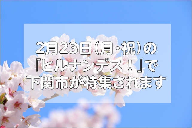 ２月２３日（月・祝）の『ヒルナンデス！』で、下関市が特集されます！！